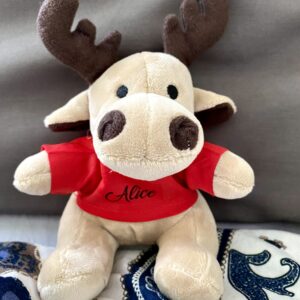 Little Reindeer