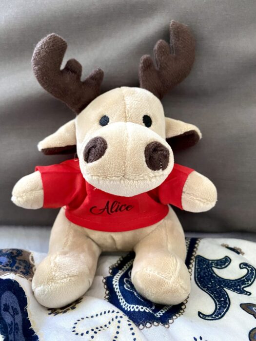 Little Reindeer